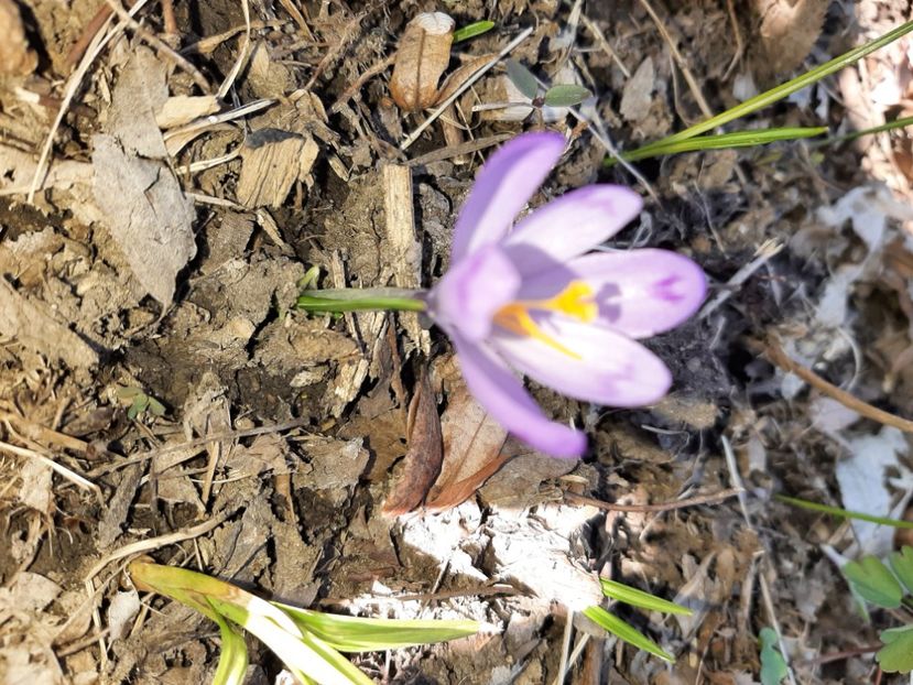  - La țară în martie 2021