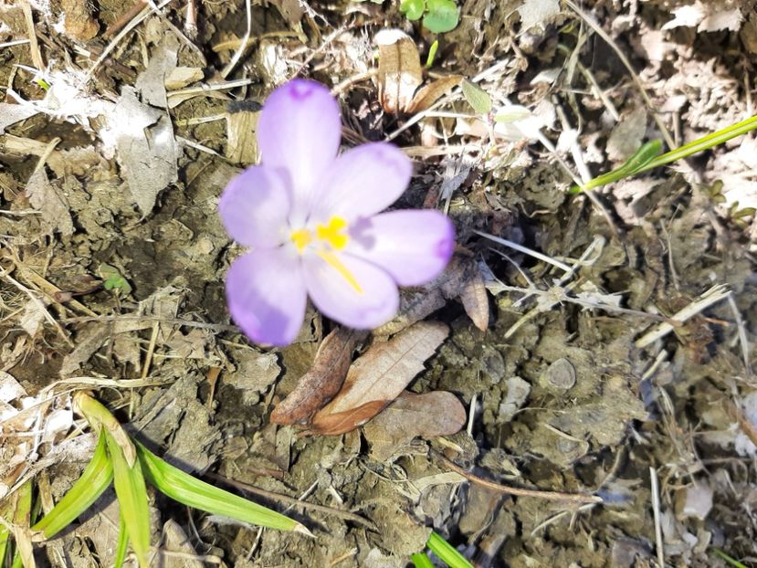  - La țară în martie 2021