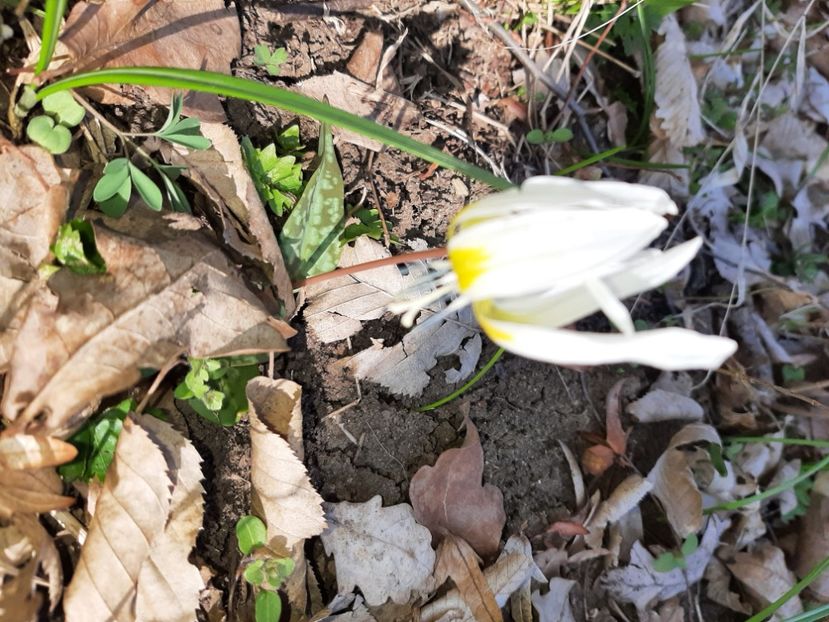  - La țară în martie 2021