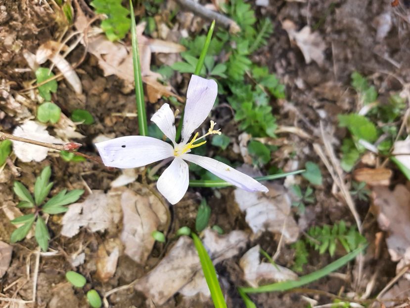  - La țară în martie 2021