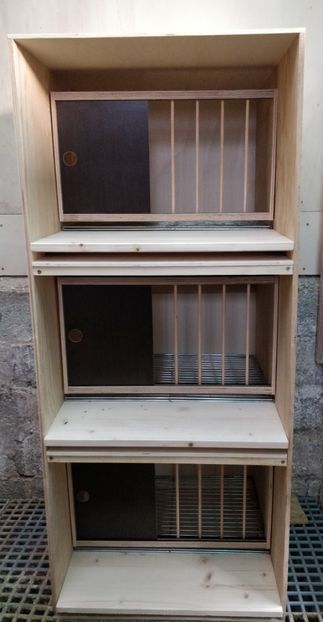 2 - 7-Poze crescatorie 2021