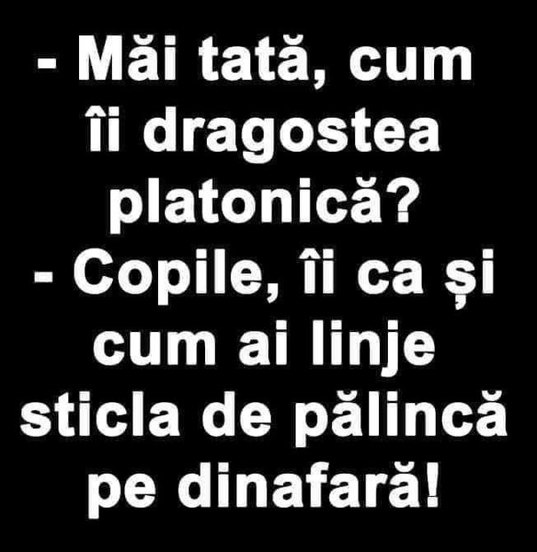  - Divertisment 3