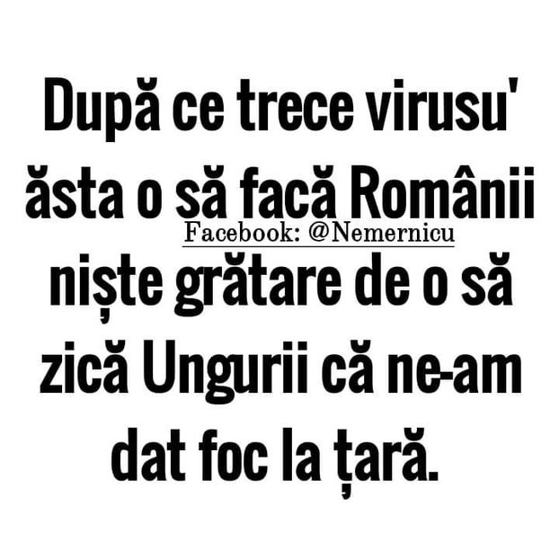  - Divertisment 3