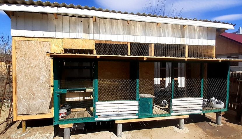 29.03.2021... zi cu soare... - 2021