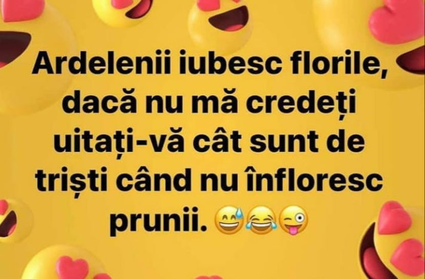  - Bancuri cu Ardeleni