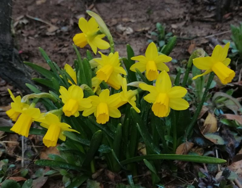  - 2021 feb martie aprilie mai