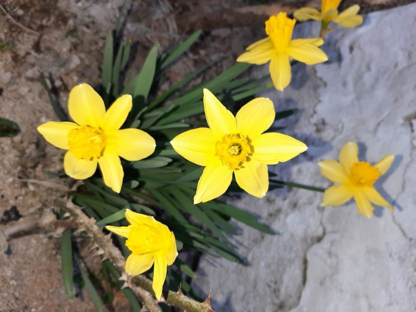  - La țară în martie 2021