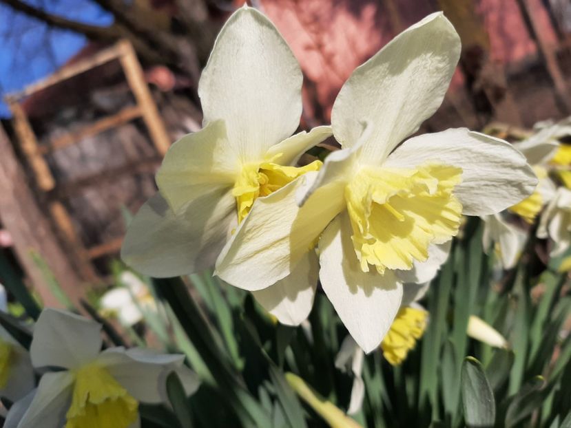  - La țară în martie 2021