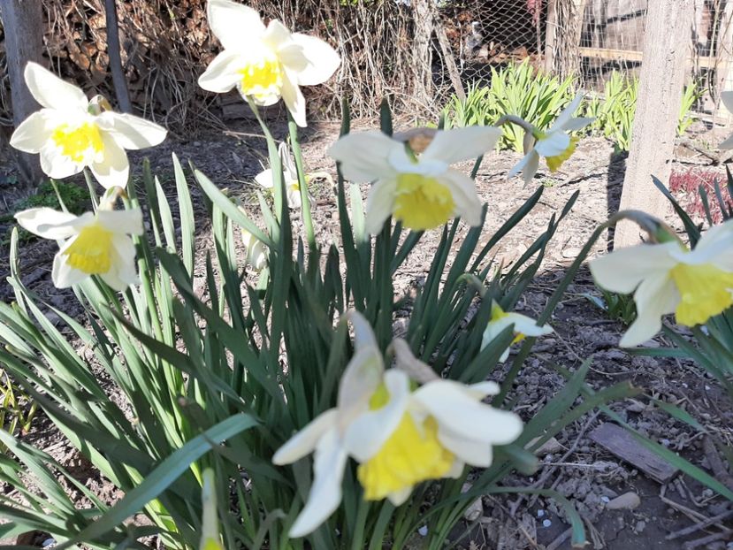  - La țară în martie 2021