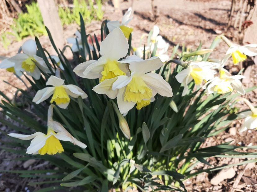  - La țară în martie 2021