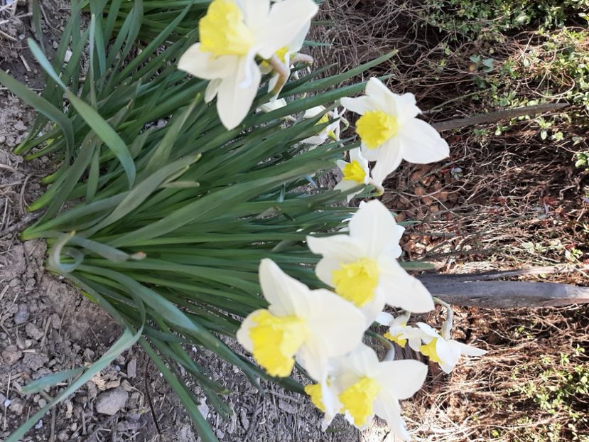  - La țară în martie 2021