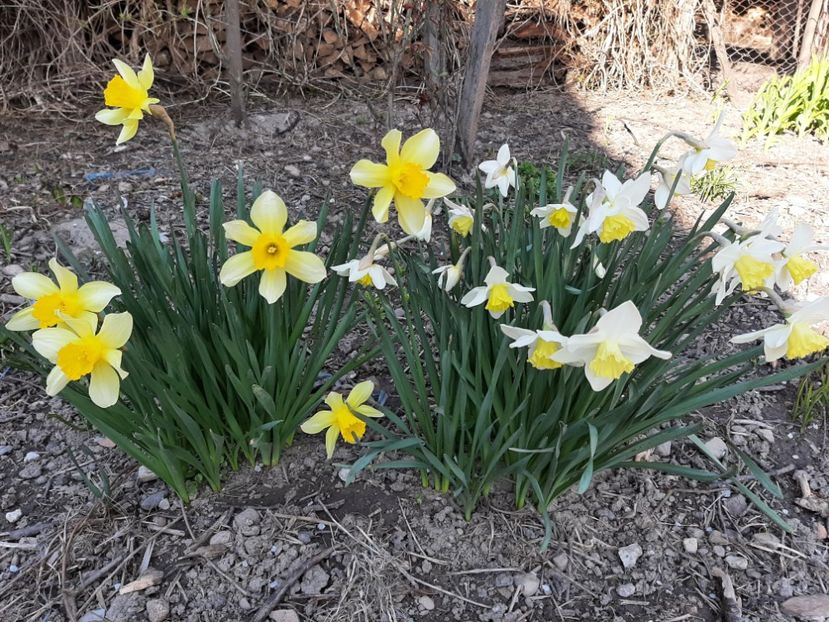  - La țară în martie 2021