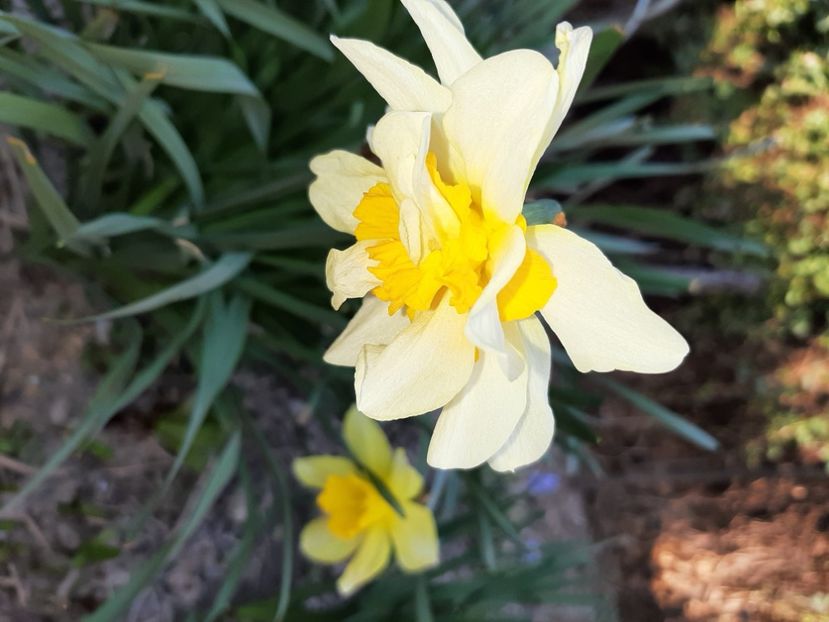  - La țară în martie 2021