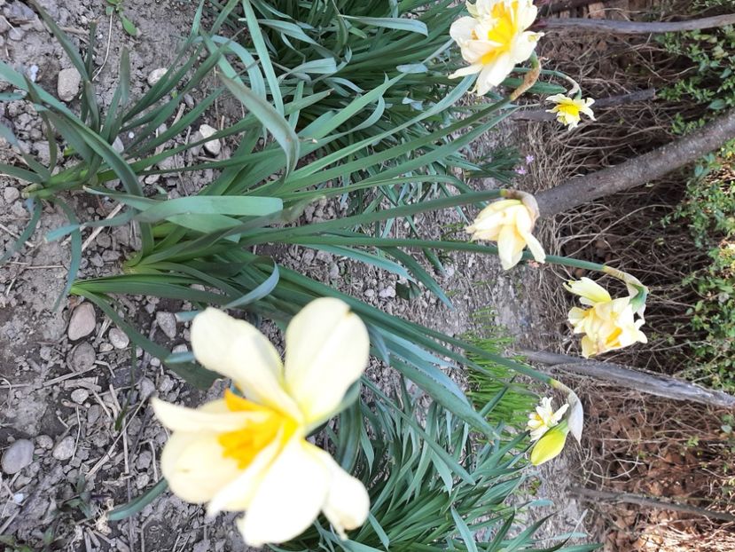  - La țară în martie 2021