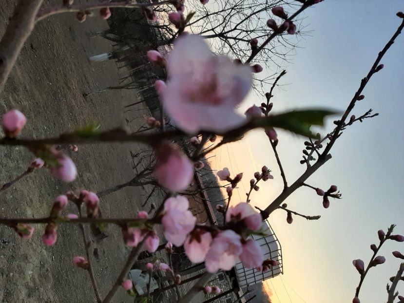  - La țară în martie 2021