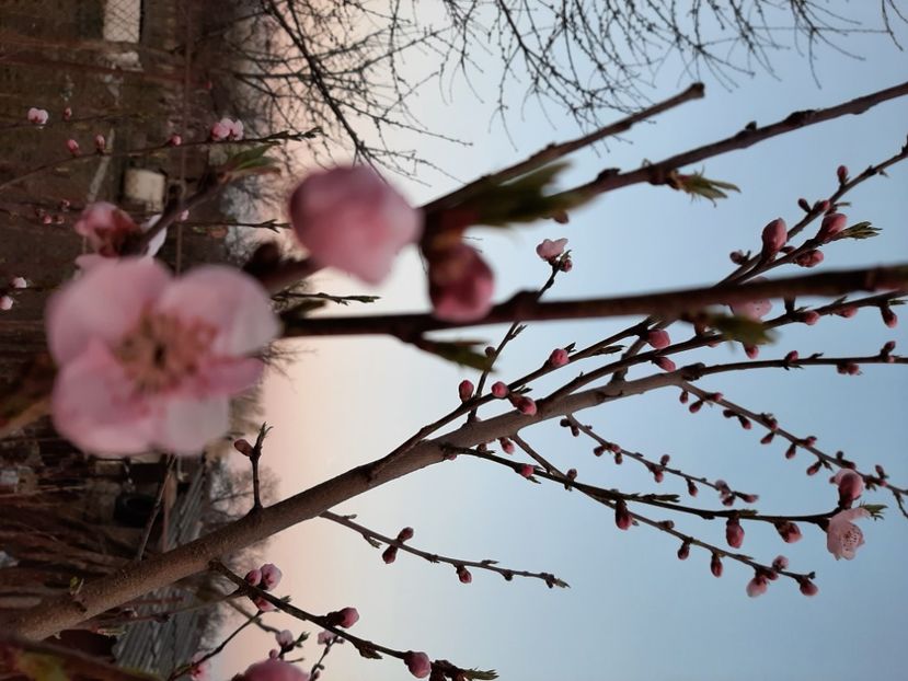  - La țară în martie 2021