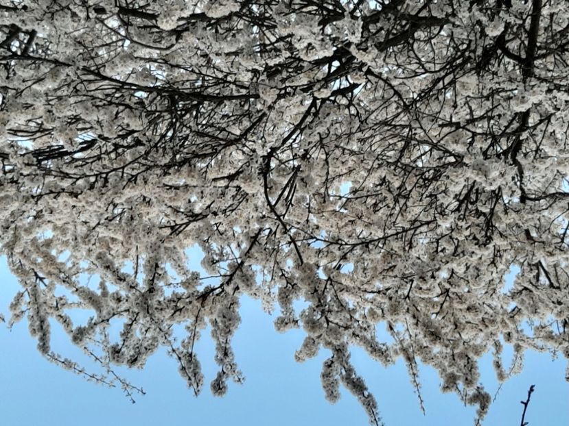  - La țară în martie 2021