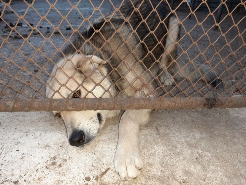  - La țară în martie 2021