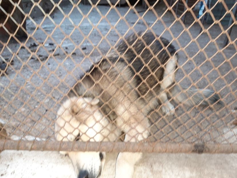  - La țară în martie 2021