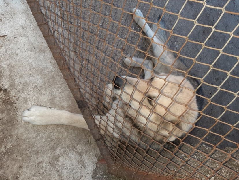  - La țară în martie 2021