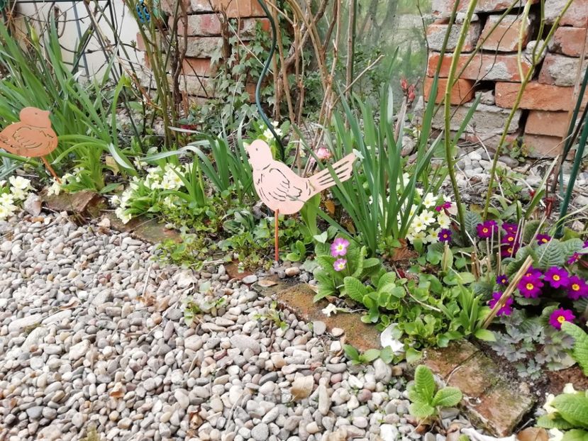  - Grădina 2021 continuare 1