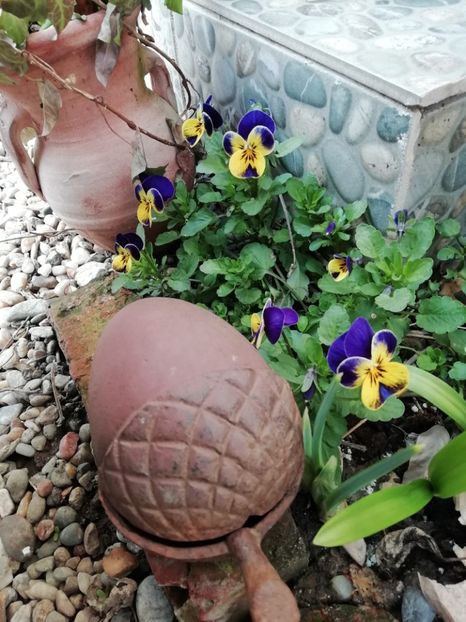  - Grădina 2021 continuare 1