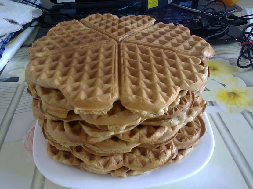 Fotografie5991 - 2021 Bunicu martie