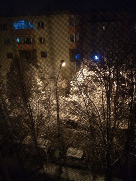  - winter days from my window