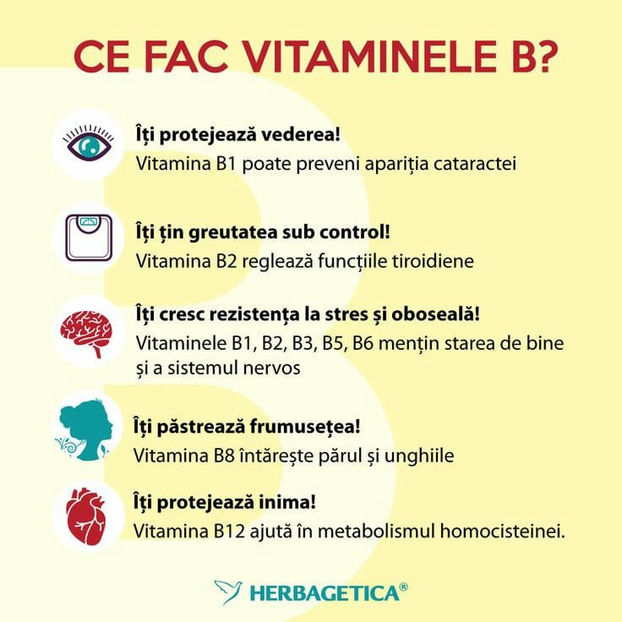  - Sfaturi Utile