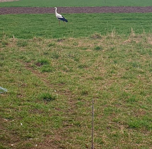  - - O - Fotografii x