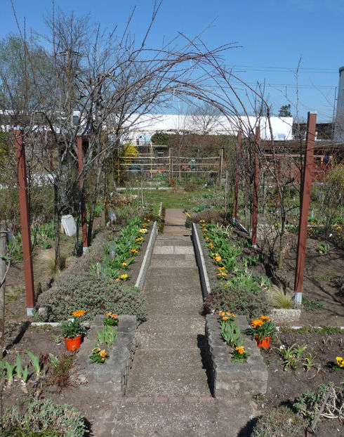  - 2021 - 01 - Primavara