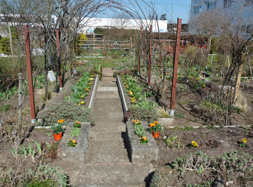  - 2021 - 01 - Primavara