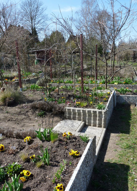  - 2021 - 01 - Primavara