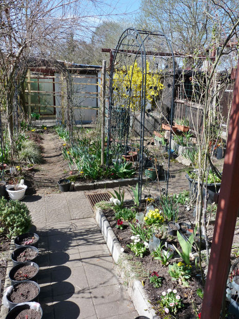  - 2021 - 01 - Primavara