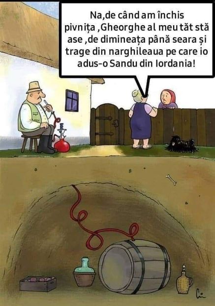  - Divertisment 3
