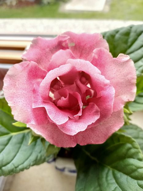 April 2021 - Calendarul