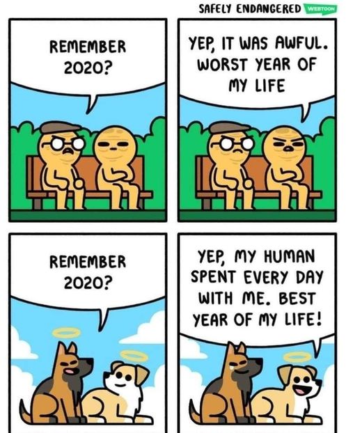  - am i too good to be gone