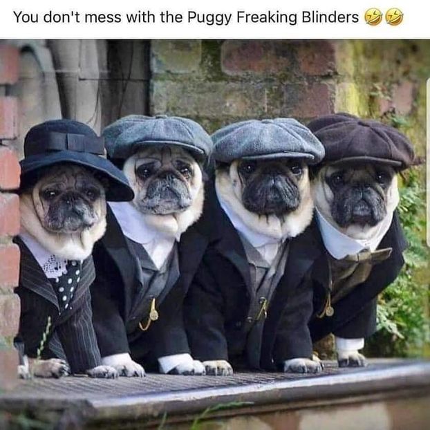  - am i too good to be gone