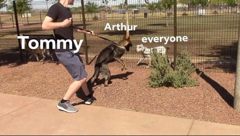  - am i too good to be gone