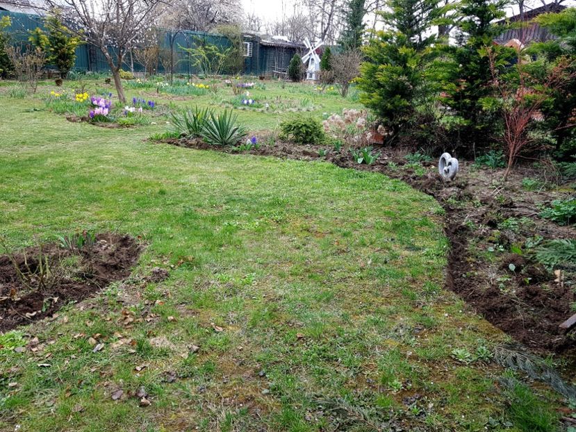  - 2020 Poiana Ciresului