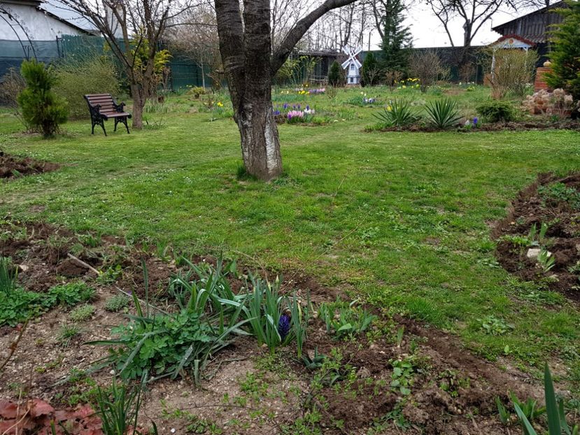  - 2020 Poiana Ciresului