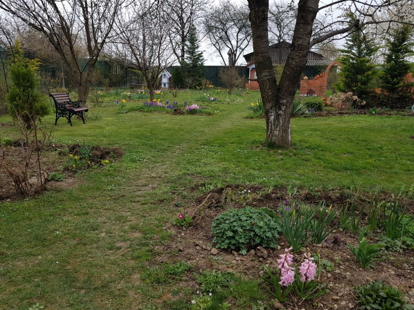  - 2020 Poiana Ciresului