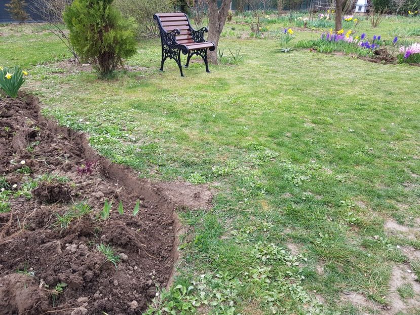  - 2020 Poiana Ciresului