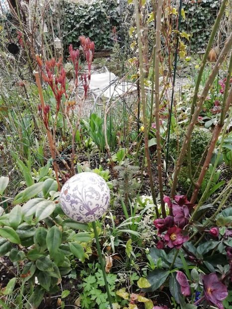 03.04.2021 - Grădina 2021 continuare 1