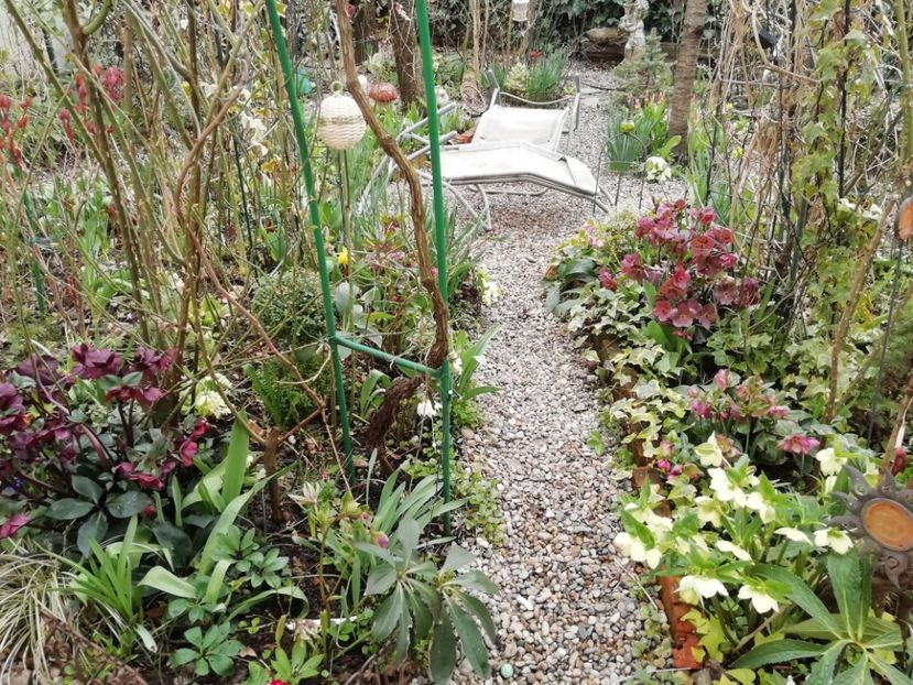  - Grădina 2021 continuare 1