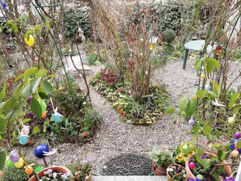  - Grădina 2021 continuare 1