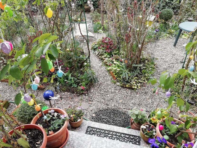  - Grădina 2021 continuare 1