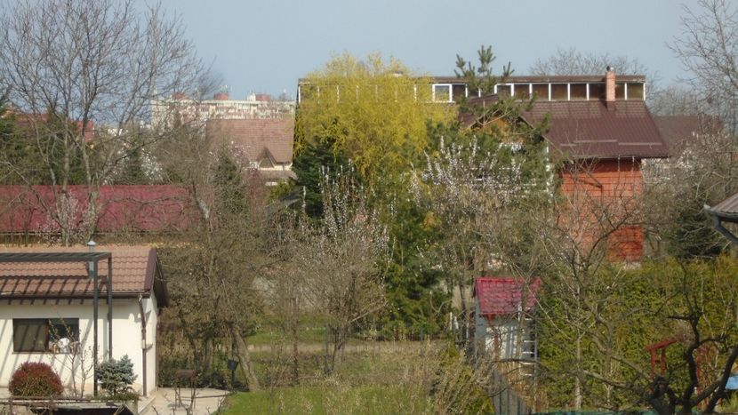 Inceput de aprilie in cartier - Primavara 2021-2022-2023