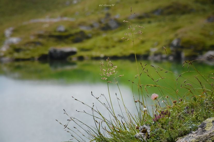 L. Capra - 16 Lacul Capra și Căprița - Făgăraș 2020