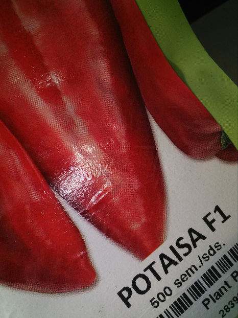  - Rasaduri de legume